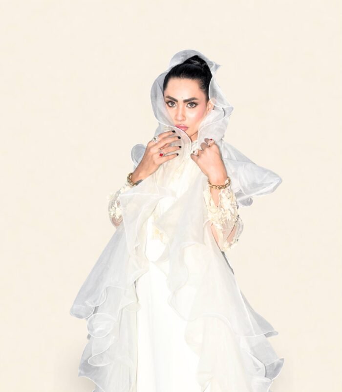 Noor Ivory Flared Palazzo and Embroidered Kameez – Celestial Grace with Organza Dupatta