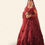 Surkh Bridal Ensemble – Dramatic Maroon Lehenga and Embellished Net Choli with Sheer Dupatta