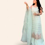 Ufaq Powder Blue Embellished Long Kameez with Organza Dupatta – Graceful Sharara Ensemble