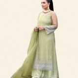 Zaitooni Olive Green Kameez and Flared Palazzos – Sheer Sleeves with Frosted Silver Embroidery